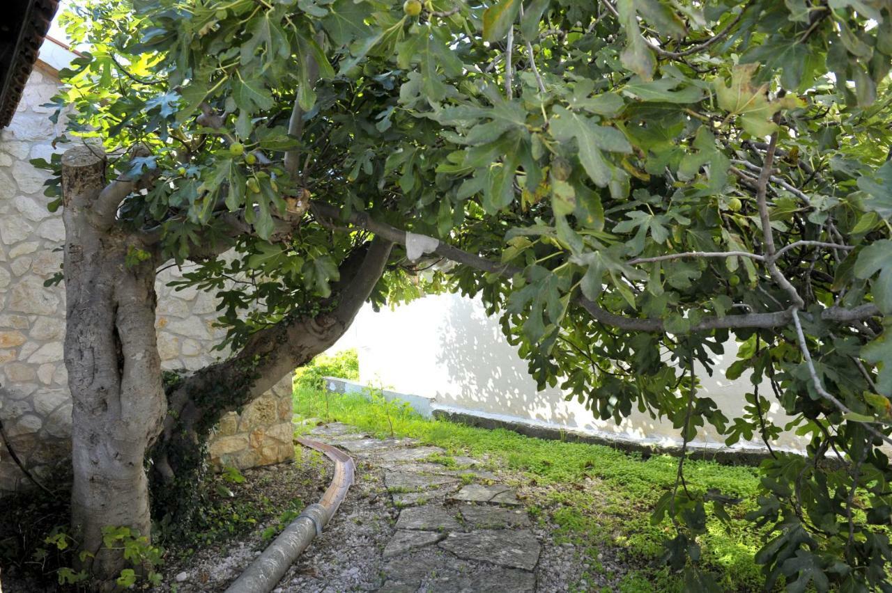 Grandpa Mate House Villa Dragove Exterior photo